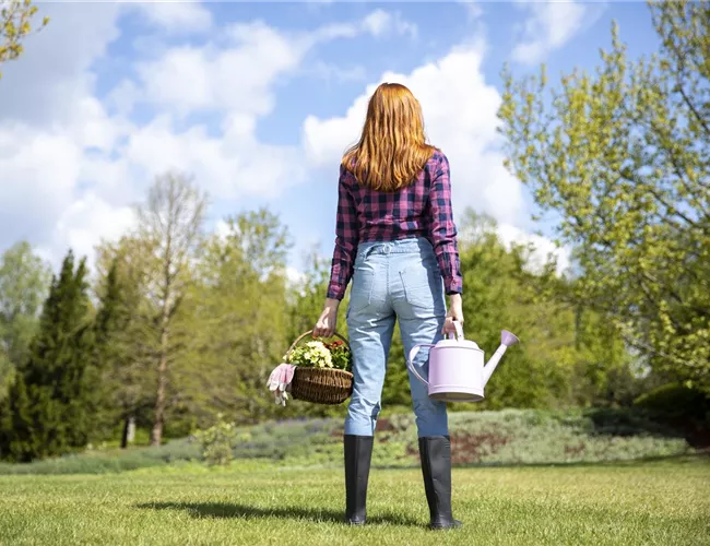 Alles auf Anfang – ein Blumenbeet anlegen