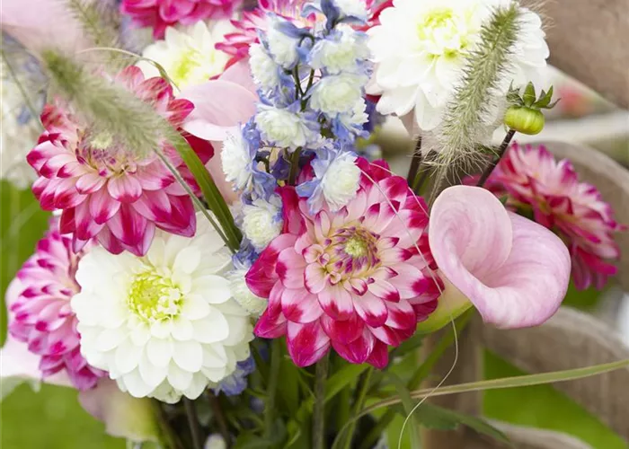 Beauty-Kur für den Blumenstrauß: Pülverchen und Hausmittel