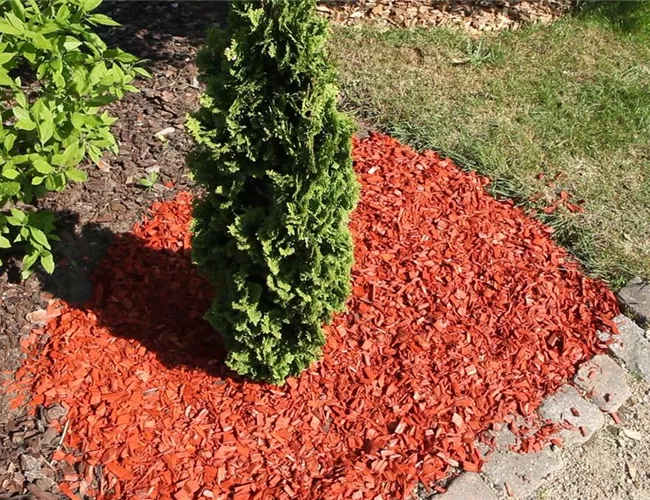 Mulch - Einsatz im Garten