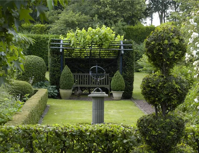 Auf die Form gekommen – Formgehölze im Garten