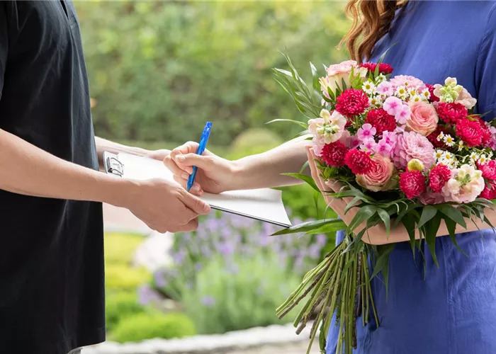 Bestellservice, Lieferservice