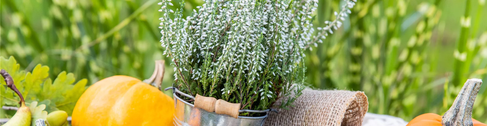Herbstdeko - Kürbis, Apfel und Heide Herbstdeko - Kürbis, Apfel und Heide