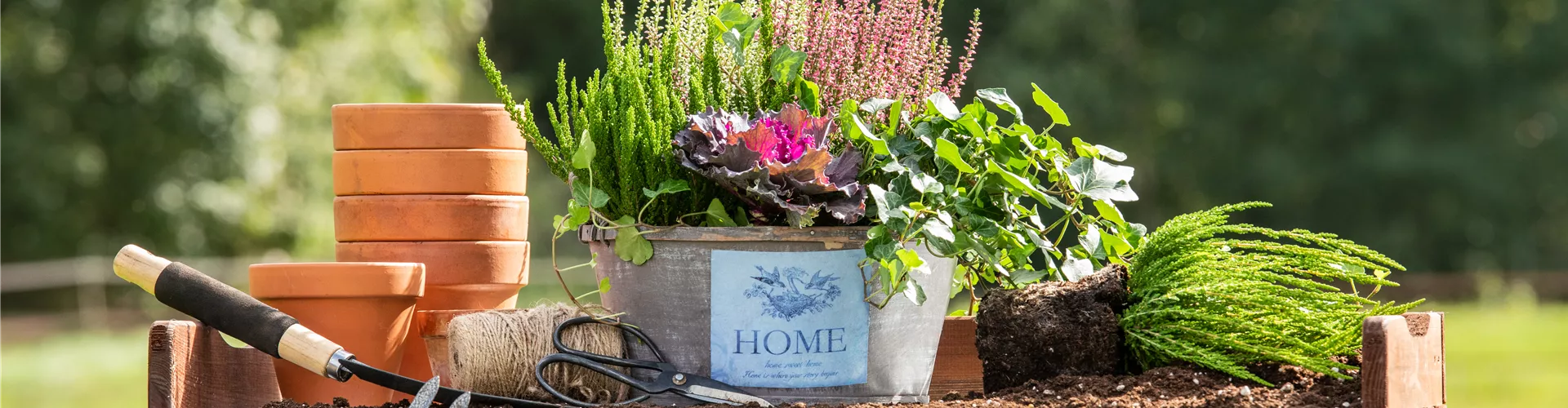 Pflanzgefäß im Ambiente