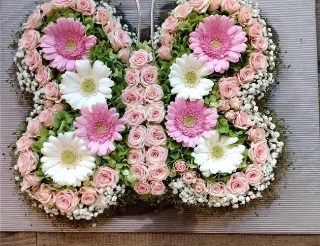 Schmetterling Schmetterling