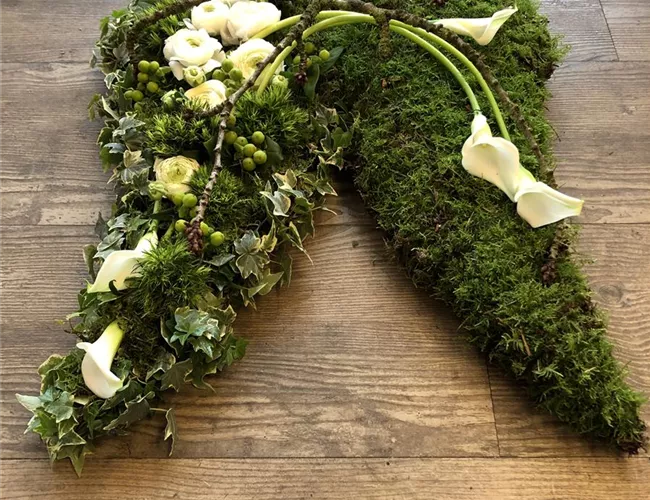 Engelflügel Engelflügel