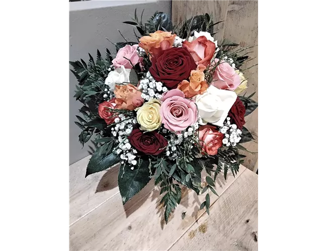 Rosenvielfalt Rosenvielfalt