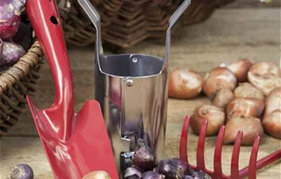 Ab in den Garten – Blumenzwiebeln im Frühjahr einpflanzen Ab in den Garten – Blumenzwiebeln im Frühjahr einpflanzen