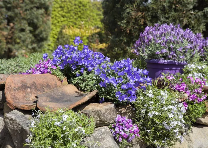 Gartenarbeiten im Mai