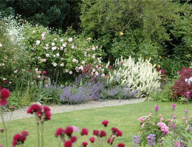 Aller Anfang ist (nicht) schwer - der erste eigene Garten